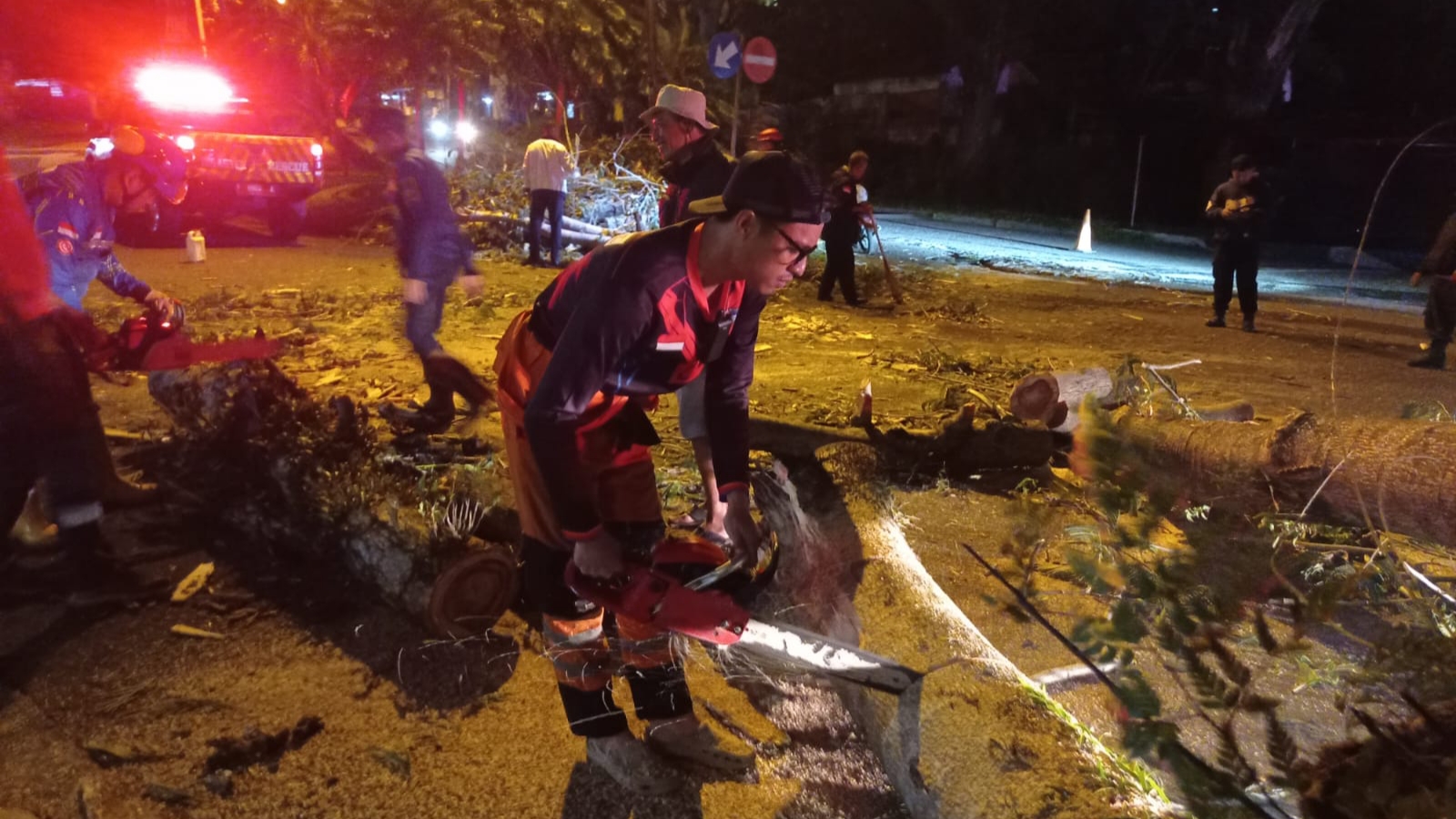 Pohon Tumbang Timpa Pemotor di Mulyaharja, Korban Terluka