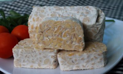 Ini Alasan Makanan Fermentasi Baik untuk Tubuh Kata Ahli IPB