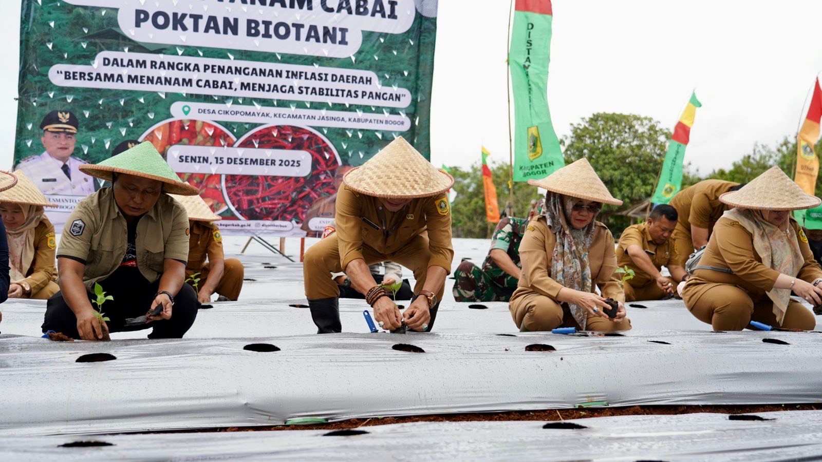 Pemkab Bogor Bareng Poktan Biotani Taman Cabai untuk Kendalikan Inflasi Daerah