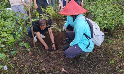 Menteri LH Ajak Jaga DAS Ciliwung Lewat Aksi Tanam Pohon