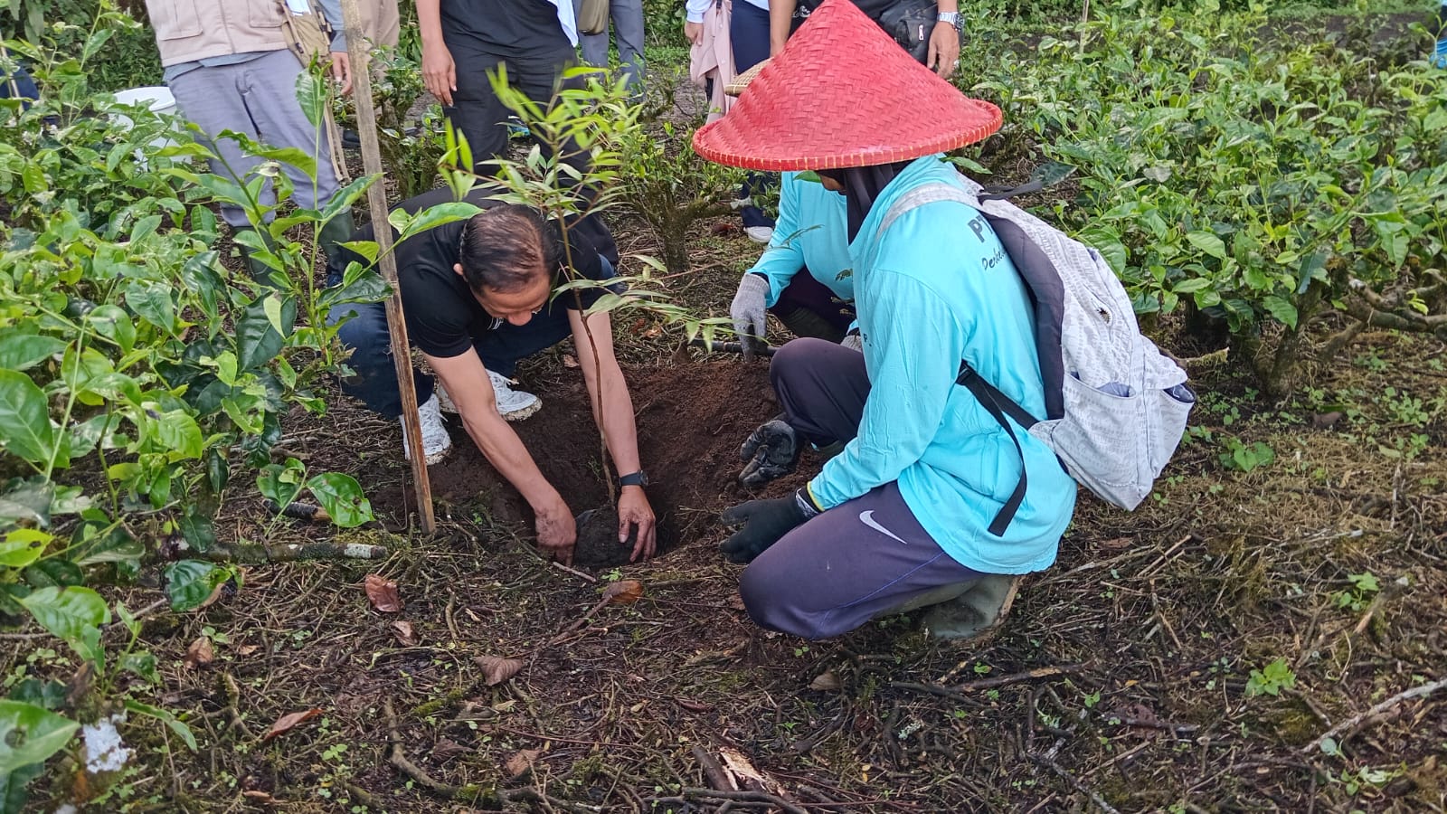 Menteri LH Ajak Jaga DAS Ciliwung Lewat Aksi Tanam Pohon