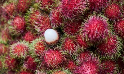 Rambutan Langka di Akhir Tahun, Pakar IPB Ungkap Penyebabnya