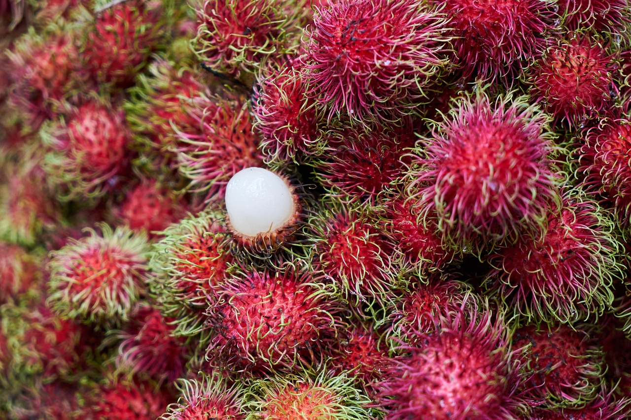 Rambutan Langka di Akhir Tahun, Pakar IPB Ungkap Penyebabnya