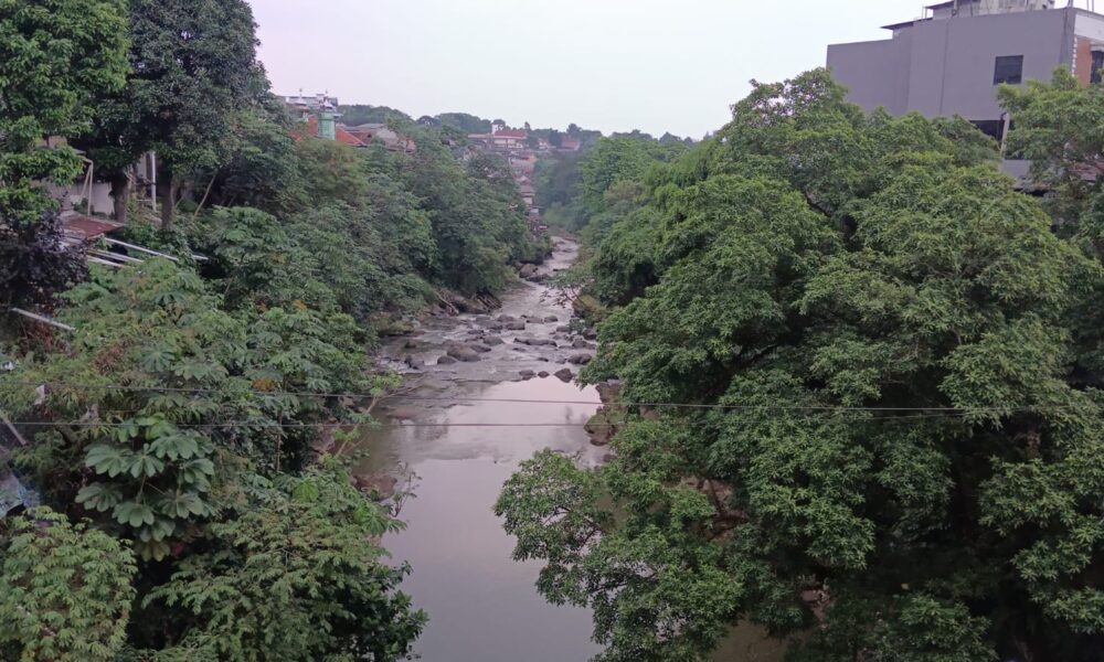 Pakar IPB: Tanpa Perubahan, Ciliwung Bisa jadi Warisan Sungai Kotor
