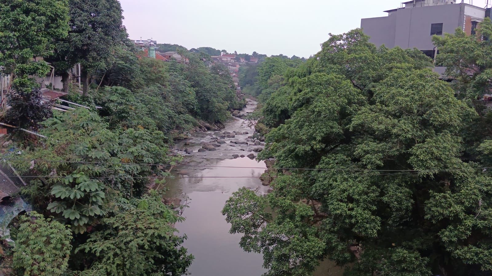 Pakar IPB: Tanpa Perubahan, Ciliwung Bisa jadi Warisan Sungai Kotor