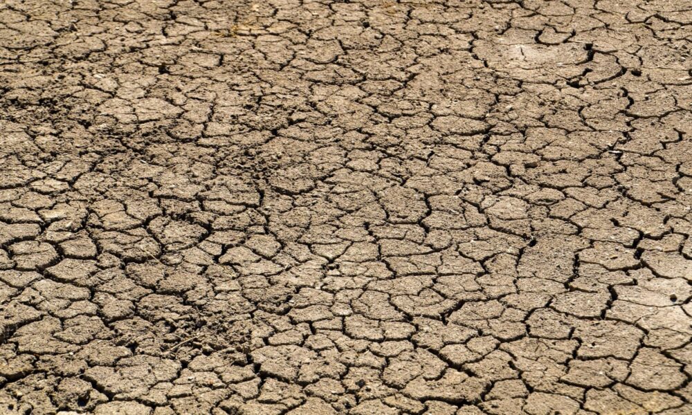 Mengapa Masih Hujan di Tengah Isu El Nino “Godzilla”, Ini Kata Pakar IPB