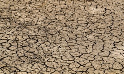 Mengapa Masih Hujan di Tengah Isu El Nino “Godzilla”, Ini Kata Pakar IPB