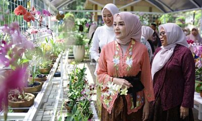 Seratus Jenis Anggrek jadi Koleksi Kebun Anggrek Kartini Taman Heulang