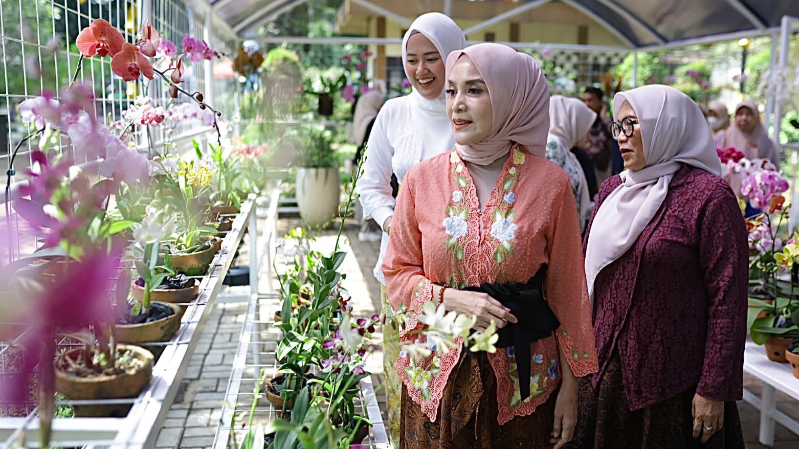 Seratus Jenis Anggrek jadi Koleksi Kebun Anggrek Kartini Taman Heulang