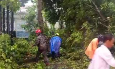 Cuaca Ekstrem, 16 Bencana Terjadi dalam Sehari di Kota Bogor 