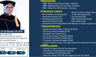 Imunostimulan-Vaksinasi jadi Solusi Baru Akuakultur Berkelanjutan