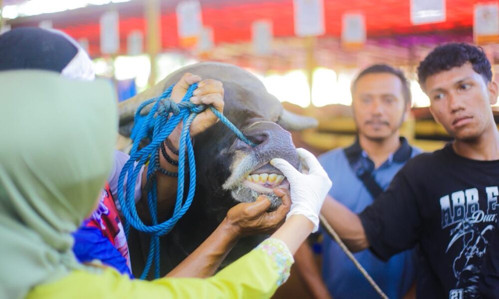 Jelang Iduladha, Pemkot Bogor Periksa Kesehatan Hewan Kurban