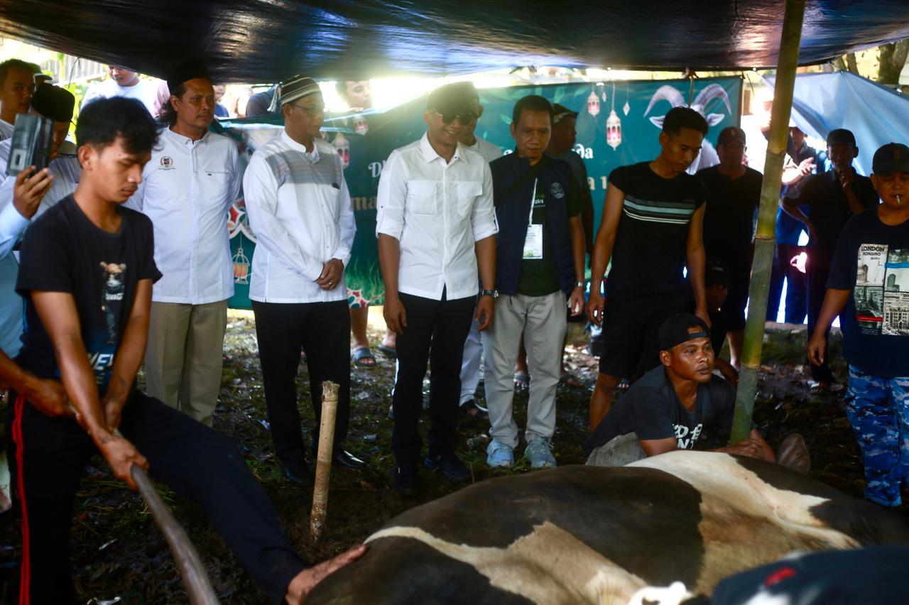 Sapi Bantuan Presiden Seberat 1 Ton Lebih Diserahkan untuk Warga di Kayumanis
