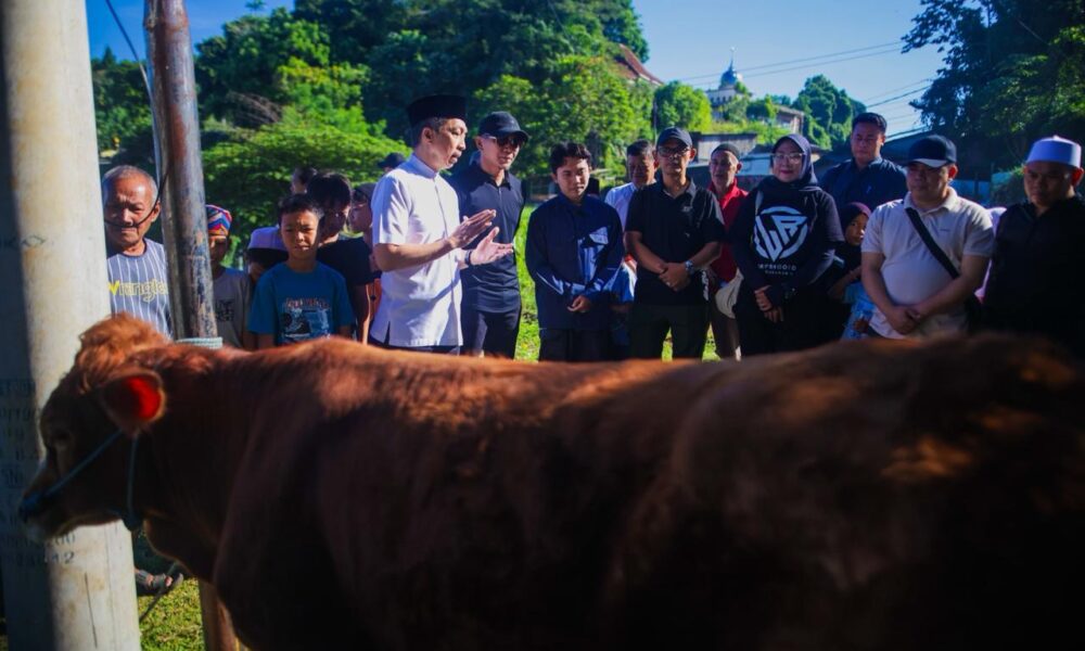 Wali Kota Tinjau Pemotongan Hewan Kurban di Lawanggintung