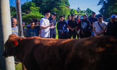 Wali Kota Tinjau Pemotongan Hewan Kurban di Lawanggintung