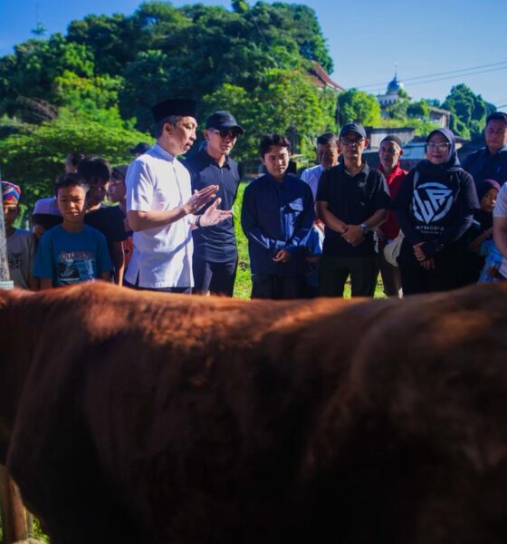 Wali Kota Tinjau Pemotongan Hewan Kurban di Lawanggintung