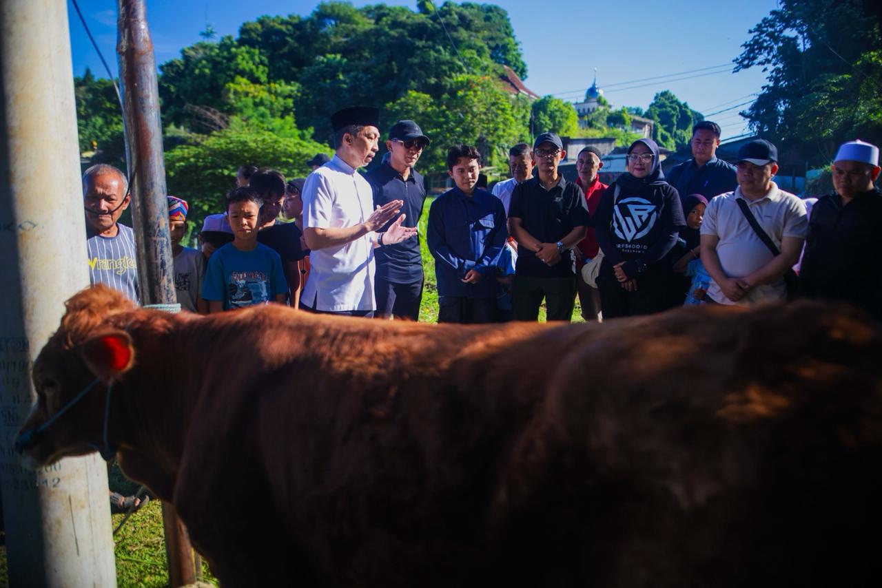Wali Kota Tinjau Pemotongan Hewan Kurban di Lawanggintung