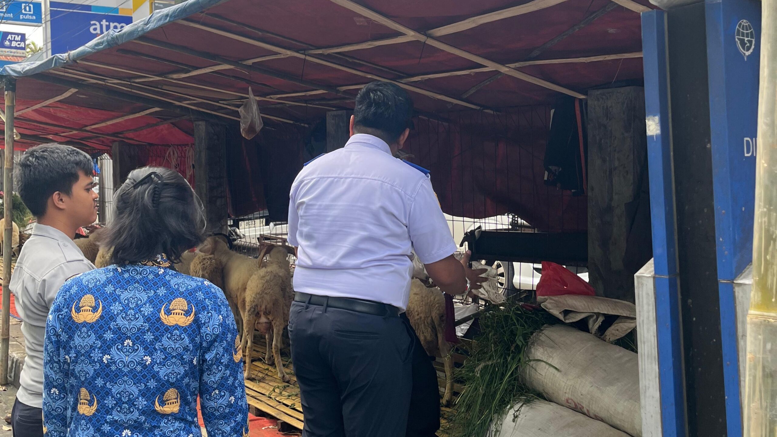 Dishub Kota Bogor Tertibkan Lapak Hewan Kurban di Bus Stop dan Trotoar