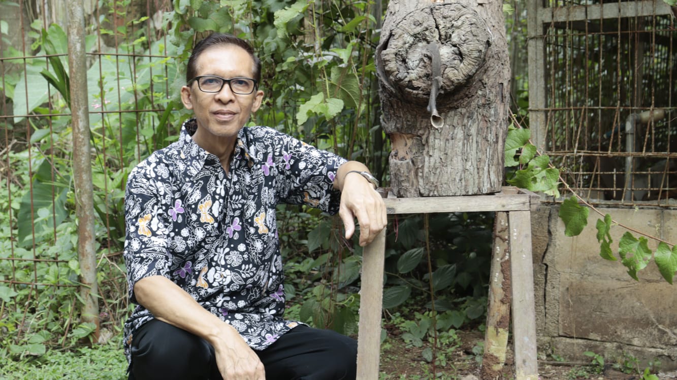 Benarkah Tawon Bisa Mengenali Wajah Manusia? Ini Kata Pakar IPB