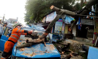Pohon Tumbang Timpa Kios dan Angkot di Kedunghalang, Lalin Sempat Macet