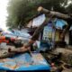 Pohon Tumbang Timpa Kios dan Angkot di Kedunghalang, Lalin Sempat Macet