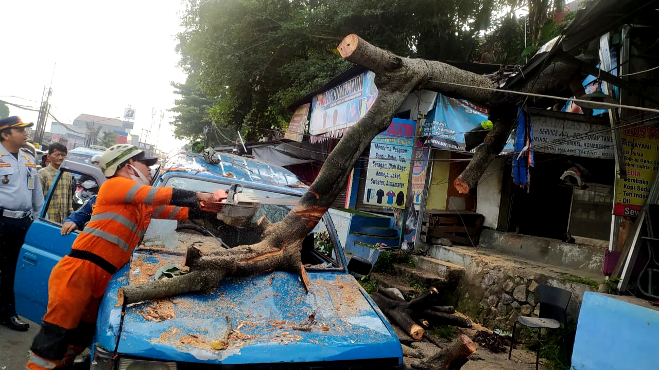 Pohon Tumbang Timpa Kios dan Angkot di Kedunghalang, Lalin Sempat Macet
