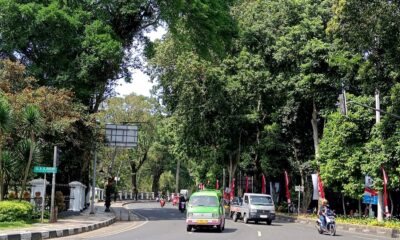 Mengapa Hujan Jarang dan Bogor Semakin Panas?