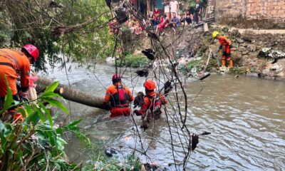 Pohon Tumbang di Kebon Pedes Sempat Tutup Kali Cipakancilan