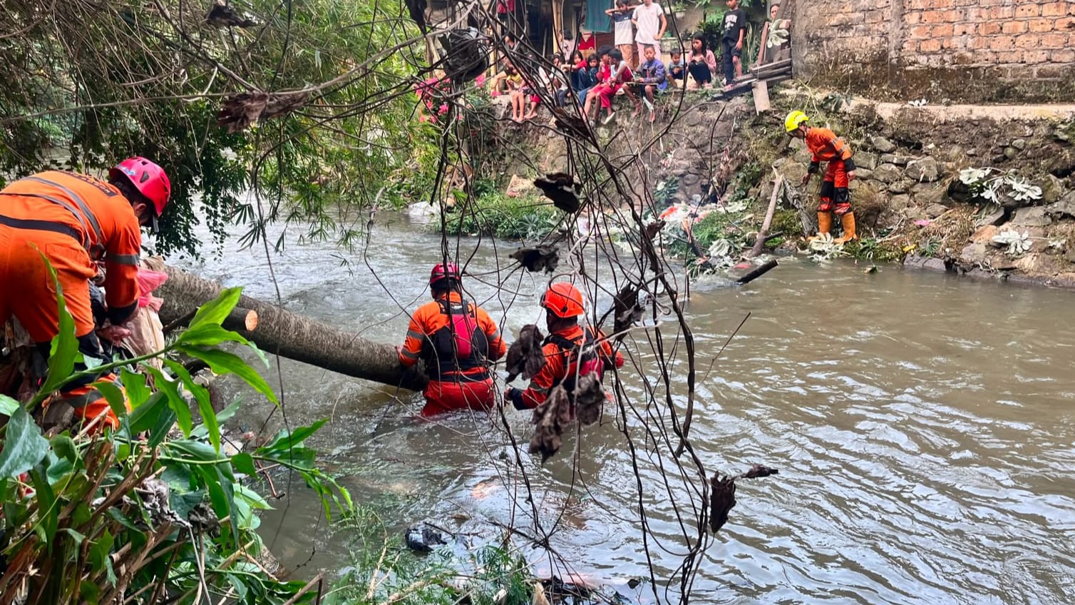 Pohon Tumbang di Kebon Pedes Sempat Tutup Kali Cipakancilan