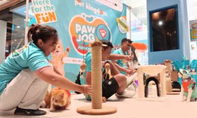 Ratusan Pawrents dan Anabul Nikmati Keseruan PAWJOG 9