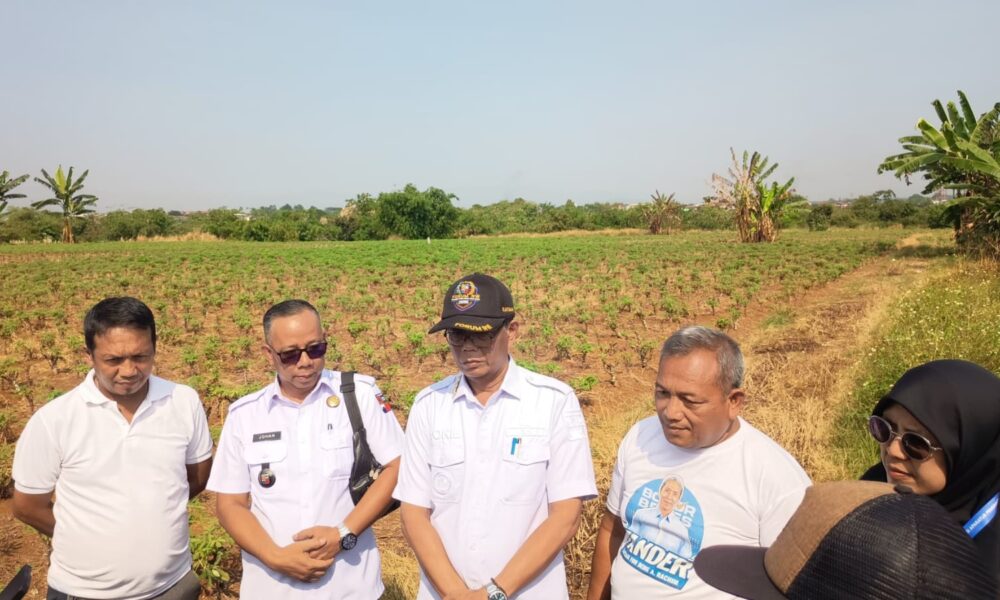 PSEL Kayumanis Masuk Pematangan Lahan, Pembangunan Ditarget November