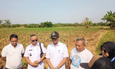 PSEL Kayumanis Masuk Pematangan Lahan, Pembangunan Ditarget November
