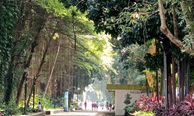 5 Tempat Jogging di Kota Bogor untuk Olahraga Pagi dan Sore