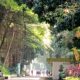 5 Tempat Jogging di Kota Bogor untuk Olahraga Pagi dan Sore