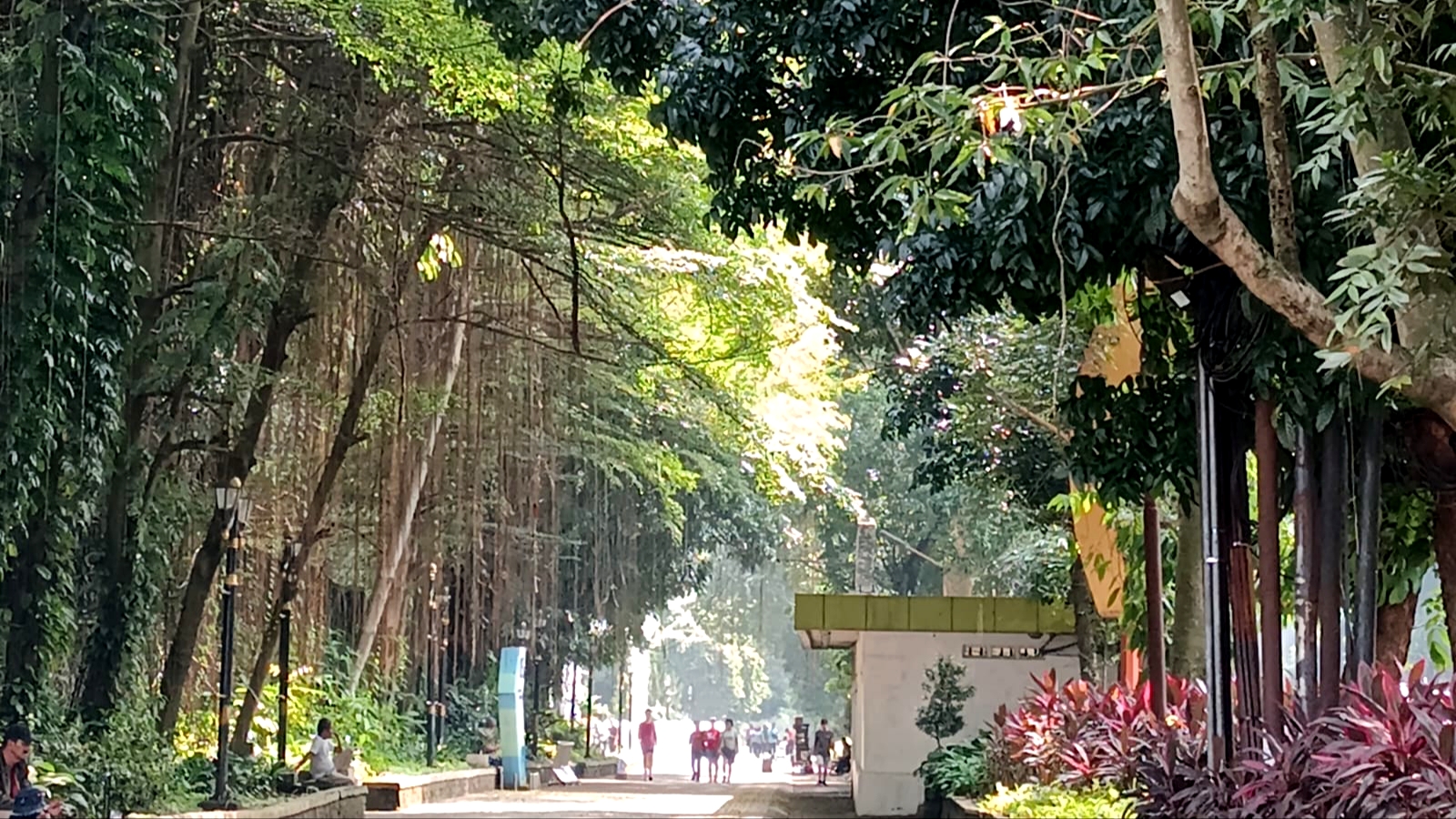 Slow Jogging Direkomendasikan jadi Olahraga Efektif dan Aman untuk Semua Usia