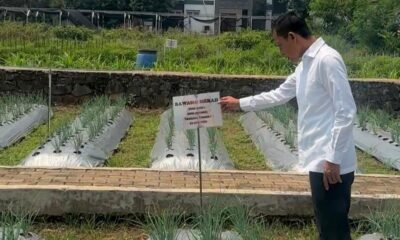 Wabup Jaro Ade Cek Pelayanan Publik dan Antisipasi Dampak Kemarau