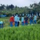 Gunung Malang dan Tugu Utara Tembus Top 15 Desa Wisata Terbaik Jawa Barat