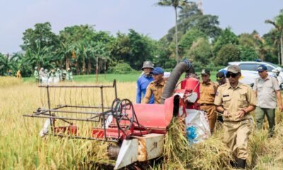 Panen Raya di Katulampa, Pemkot Dukung Swasembada Pangan