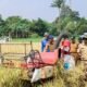 Panen Raya di Katulampa, Pemkot Dukung Swasembada Pangan
