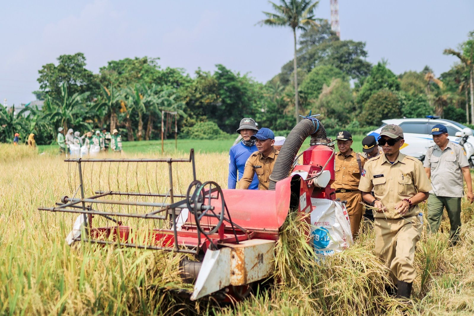 Panen Raya di Katulampa, Pemkot Dukung Swasembada Pangan