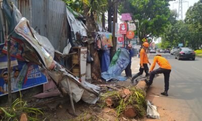 Pohon Lengkeng Tumbang Timpa Warung Warga di Tegal Gundil