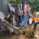 Pohon Lengkeng Tumbang Timpa Warung Warga di Tegal Gundil