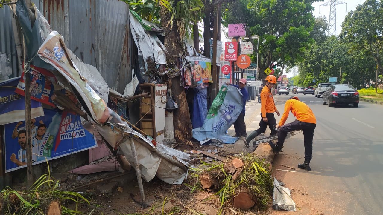 Pohon Lengkeng Tumbang Timpa Warung Warga di Tegal Gundil