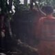 Pohon Setinggi 8 Meter Tumbang Timpa 2 Kendaraan di Bantarjati