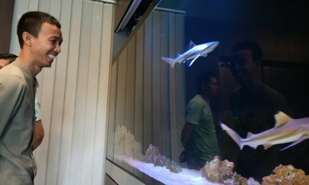 Pelihara Ikan Hias Bisa Jadi Sarana Relaksasi Juga Peluang Usaha