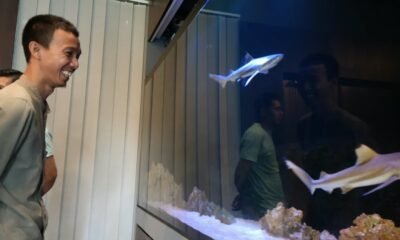 Pelihara Ikan Hias Bisa Jadi Sarana Relaksasi Juga Peluang Usaha