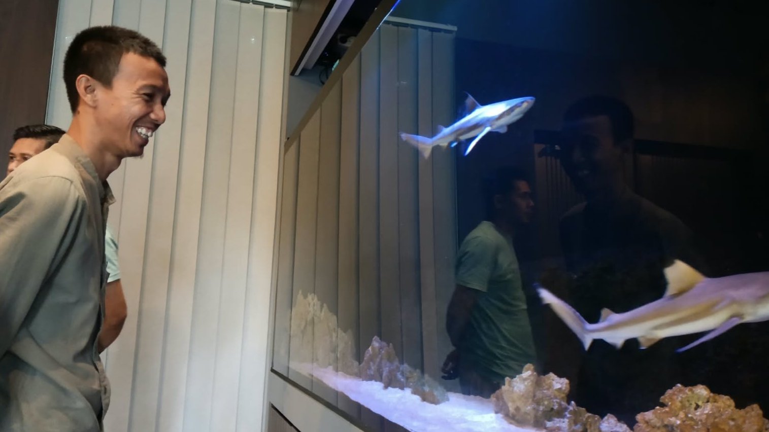 Pelihara Ikan Hias Bisa Jadi Sarana Relaksasi Juga Peluang Usaha